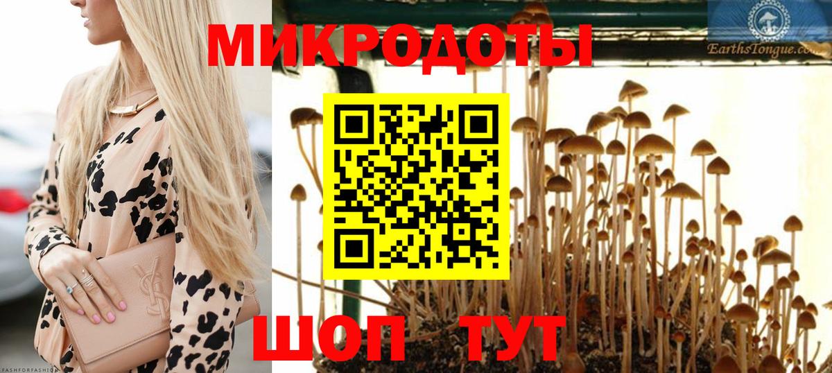 Галлюциногенные грибы Magic Shrooms  купить наркотик  Галлюциногенные грибы мицелий  Сочи  Вход с VPN 