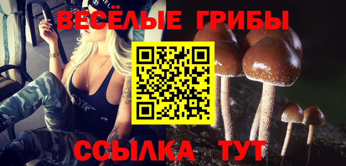 Псилоцибиновые грибы прущие грибы Сочи